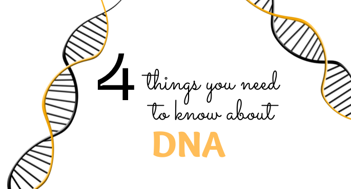 4 Things you need to Know About DNA