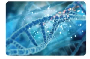 DNA Mapping Study for evaluating genetic health risk