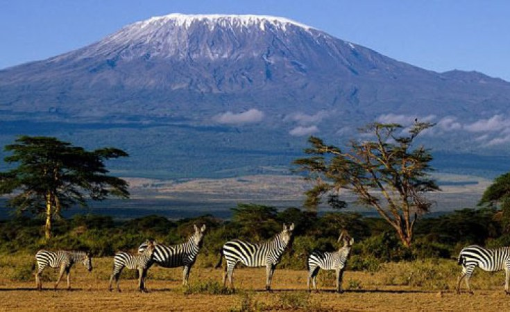 Travel to Tanzania